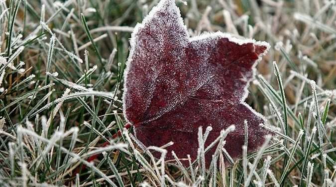 Meteorologii prognozează vânt puternic și înghețuri. Recomandările specialiștilor