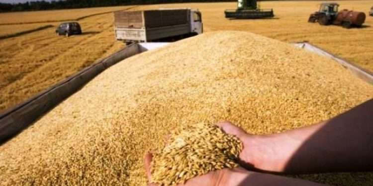 Молдова ограничила импорт зерна