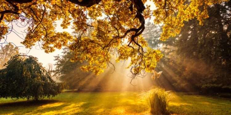 Немного похолодает: какой будет погода в Кишиневе в воскресенье?