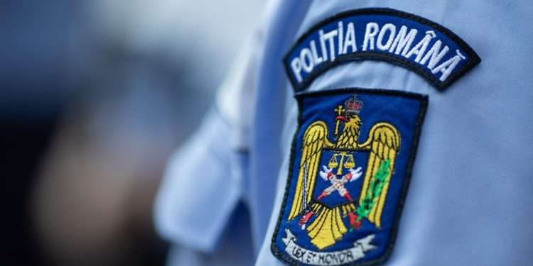 Peste 20 de câini, găsiţi morţi pe un drum forestier din România: Cadavrele nu prezentau semne de violenţă