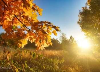 Toamna aduce variații de temperatură: Cum se comportă vremea astăzi în Moldova