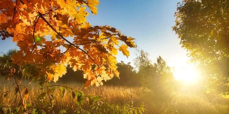 Toamna aduce variații de temperatură: Cum se comportă vremea astăzi în Moldova