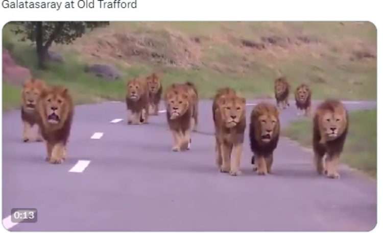 Tradiția continuă! Cele mai tari meme-uri apărute pe internet, după etapa secundă a grupelor Champions League | FOTO