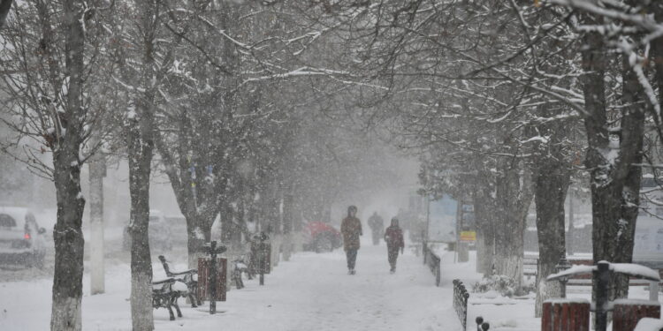 Из-за погодных условий 27 ноября у столичных школьников будет выходной
