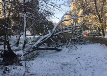 Поваленные деревья и поврежденные опоры и линии электропередач. Как столица справлялась со снегопадом | VIDEO