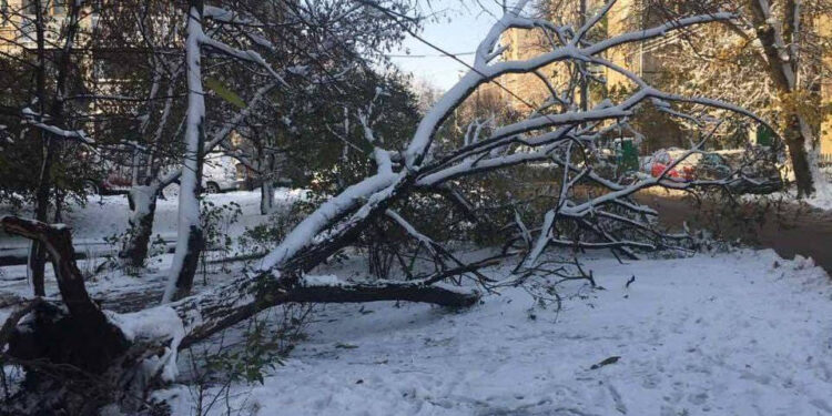Поваленные деревья и поврежденные опоры и линии электропередач. Как столица справлялась со снегопадом | VIDEO