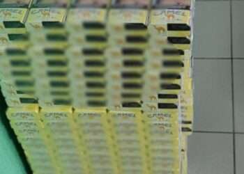 Пытался вывезти 2200 пачек сигарет: таможенники пресекли очередную попытку контрабанды