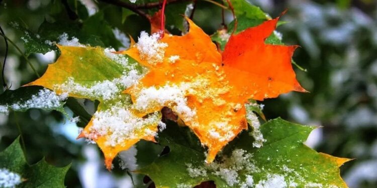 Сильный ветер и снег с дождем. В Молдове объявили желтый код метеоопасности