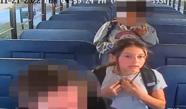 В США уже год расследуют загадочную пропажу Мэдэлины Кожокарь. Мать девочки остается под стражей