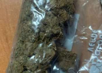 Для личного пользования: пограничники задержали двух человек с наркотиками