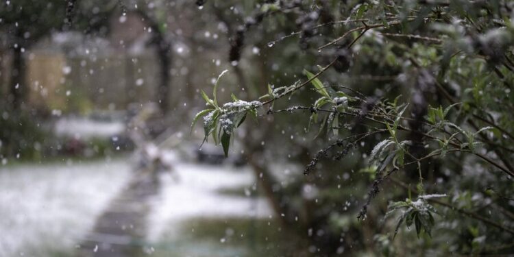 В Молдове синоптики обещают снег с дождем на выходных