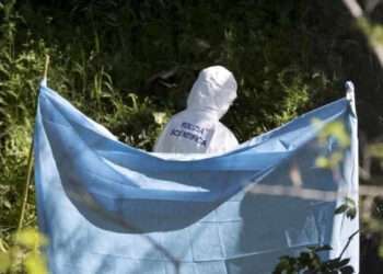 Un moldovean de 47 de ani a fost găsit mort într-o pădure de pini, din orașul Ostia, Italia: Presa locală scrie că bărbatul era fără adăpost | VIDEO