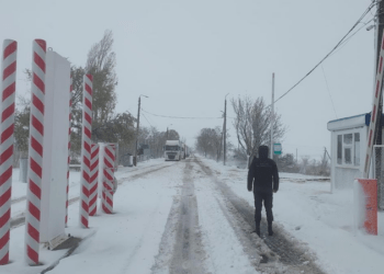 Restricții severe la frontiere: Traficul de camioane oprit între Moldova și România