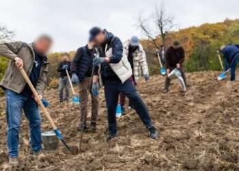 Ofiţerilor SIS, care au plantat arbori în cadrul acțiunii „Programul Național de Împădurire”, le-au fost șterse fețele: Acțiunea a stârnit amuzamentul internauților | VIDEO