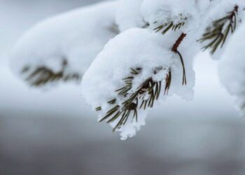 Синоптики объявили желтый и оранжевый код: в течение суток ожидаются метели!!