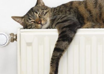 Успейте зарегистрироваться: 25 ноября – последний день подачи заявки для получения компенсации на тепло