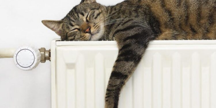 Успейте зарегистрироваться: 25 ноября – последний день подачи заявки для получения компенсации на тепло