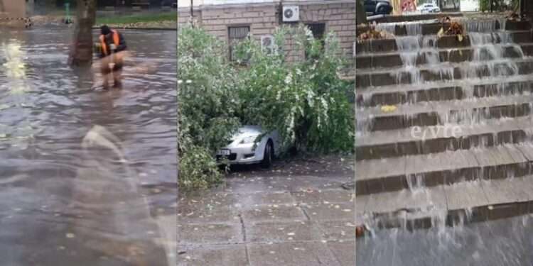 Străzile din capitală au devenit râuri, iar mai mulți copaci au fost doborâți la pământ de furtună | VIDEO