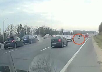 A frânat în fața unui câine și a „adunat” două mașini în spate: Momentul în care 3 automobile se lovesc în lanț, la Stăuceni