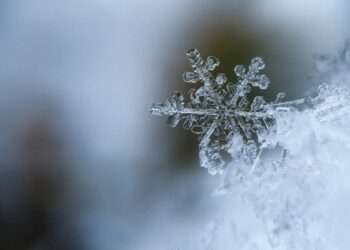 Primii fulgi de nea ar putea veni în Moldova în această săptămână. Ce spun meteorologii