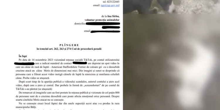 Un utilizator de TikTok a postat un filmuleț cu un câine de rasă care atacă cu cruzime un alt patruped. Apărătorii animalelor s-au adresat la IGP