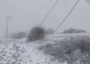 Ninsorile și vântul puternic fac ravagii în Moldova: Sute de localități au rămas în beznă