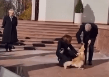 Câinele Codruț de la Președinție l-a mușcat de mână pe președintele Austriei, venit în vizită la Chișinău