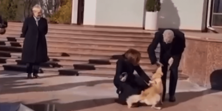 Câinele Codruț de la Președinție l-a mușcat de mână pe președintele Austriei, venit în vizită la Chișinău