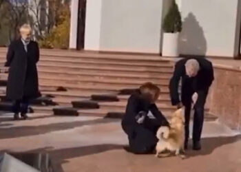 Câinele Maiei Sandu, Codruț, l-a mușcat pe președintele Austriei, aflat într-o vizită în Moldova. Cum a reacționat liderul de la Viena | VIDEO