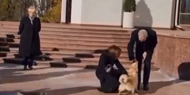 Câinele Maiei Sandu, Codruț, l-a mușcat pe președintele Austriei, aflat într-o vizită în Moldova. Cum a reacționat liderul de la Viena | VIDEO