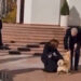 Câinele Maiei Sandu, Codruț, l-a mușcat pe președintele Austriei, aflat într-o vizită în Moldova. Cum a reacționat liderul de la Viena | VIDEO