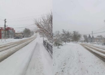 Все аварийные службы Тараклии работают над устранением последствий снежного бурана