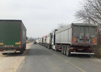Un șofer de camion a murit în vamă. Poliția urmează să stabilească cauzele decesului
