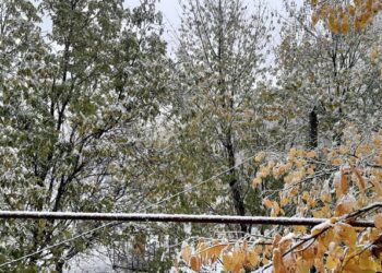 Ninge pe Moldova, ninge. Primii fulgi de zăpadă au căzut în localitățile din nordul țării