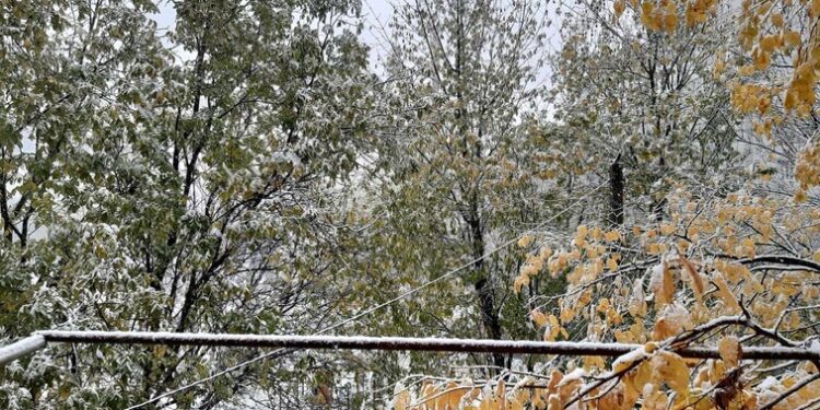 Ninge pe Moldova, ninge. Primii fulgi de zăpadă au căzut în localitățile din nordul țării