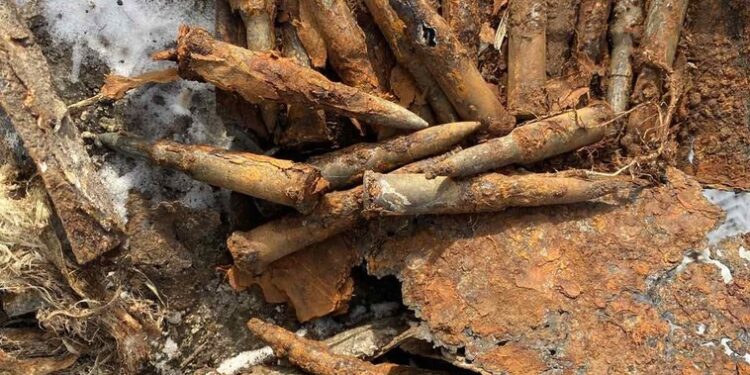 Proiectil de artilerie și peste 100 de cartușe, descoperite în urma unor lucrări agricole la Șoldănești