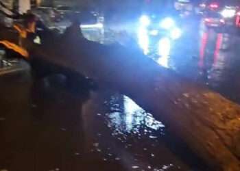 Furtunile au făcut ravagii în Constanța și Tulcea. Au fost 700 de apeluri la 112, zeci de mașini avariate, 140 de copaci doborâţi