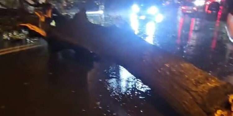 Furtunile au făcut ravagii în Constanța și Tulcea. Au fost 700 de apeluri la 112, zeci de mașini avariate, 140 de copaci doborâţi