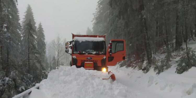 Vremea rea face ravagii în România: Mai mulți turiști sunt blocați din cauza zăpezii, iar copacii au căzut pe mașini