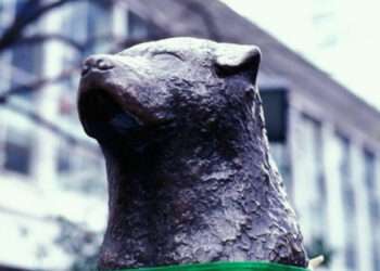 Japonia sărbătoreşte 100 de ani de la naşterea lui Hachiko. Povestea emoționantă a câinelui devenit un simbol naţional al loialităţii