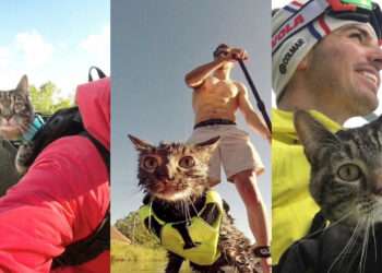 O pisică adoptată de la adăpost a devenit vedetă pe internet. Este pasionată de ciclism și alpinism și s-a dat chiar și cu parapanta | VIDEO
