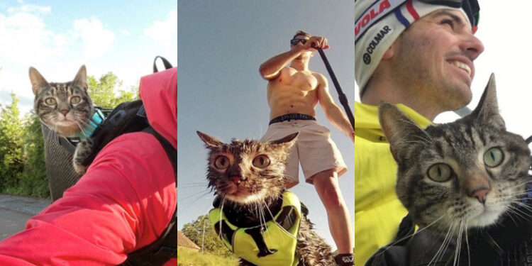 O pisică adoptată de la adăpost a devenit vedetă pe internet. Este pasionată de ciclism și alpinism și s-a dat chiar și cu parapanta | VIDEO