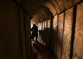 Armele secrete ale Israelului: Câinii de atac vor fi trimiși în tunelurile teroriștilor Hamas din Fâșia Gaza