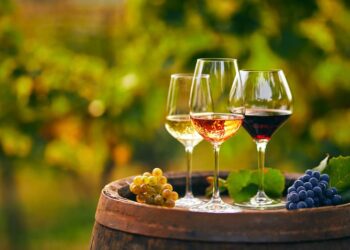 Producția vitivinicolă din Republica Moldova a fost exportată în 64 de țări. Datele prezentate de ministerul Agriculturii