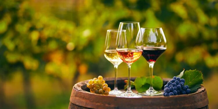 Producția vitivinicolă din Republica Moldova a fost exportată în 64 de țări. Datele prezentate de ministerul Agriculturii