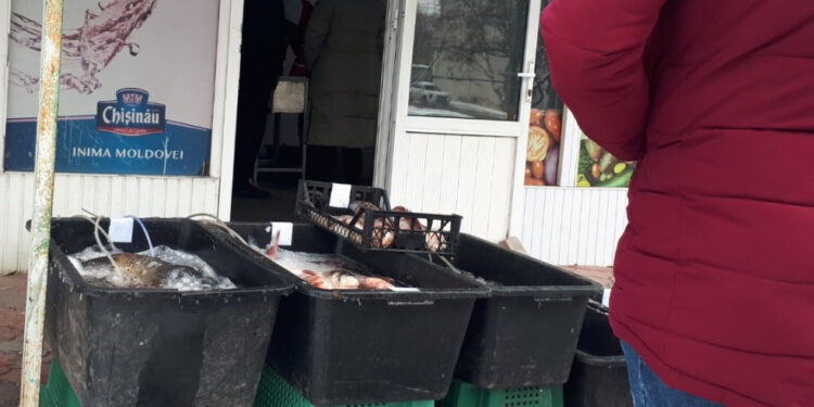 В Молдове изъявили из продажи 223 кг рыбы. Какие нарушения выявили инспекторы ANSA