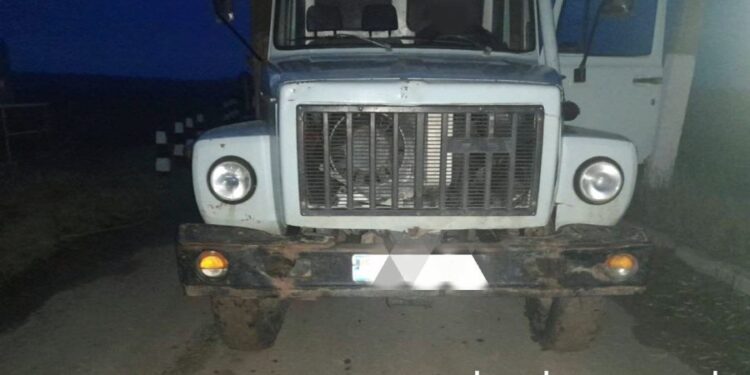 Задержаны за незаконную вырубку леса и вождение без прав: двое жителей Кагула пытались вывезти древесину