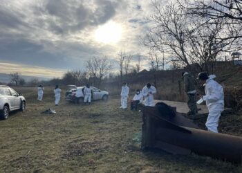 65 de lebede moarte, găsite pe râul Răut. Explicația specialiștilor