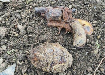 Drochia: O grenadă de mână F1 și un revolver au fost găsite în timpul unor lucrări agricole