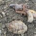Drochia: O grenadă de mână F1 și un revolver au fost găsite în timpul unor lucrări agricole
